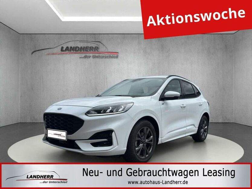 Kuga