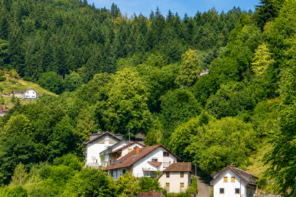 Wohnung Bühlertal - 3 Zimmer, 80 m&sup2;, 195.000&euro; | Angebot:27353081