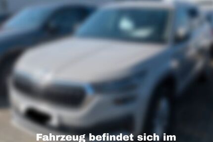 Skoda Kodiaq 124.989 km 25.990 &euro; Dohna 01809