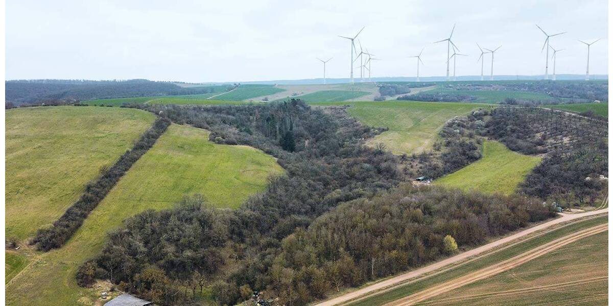 Versteigerungsimmobilie Heringen/Helme Uthleben - 25.000&euro; | Angebot:26290939