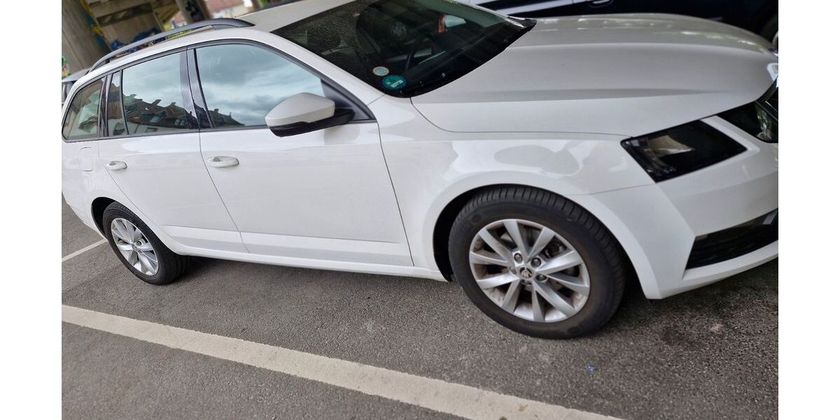 Skoda Octavia 27.500 km 17.777 &euro; Landau in der Pfalz 76829