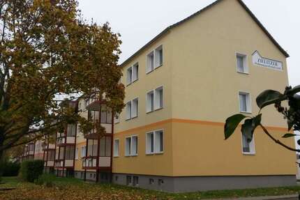 Wohnung zum Mieten in Colbitz 270 € 45.9 m² 2 zimmer