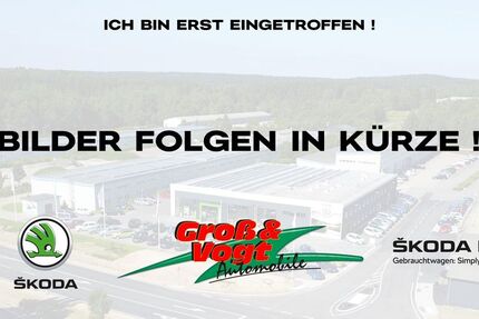 Skoda Scala 24.601 km 22.990 &euro; Schneeberg 08289