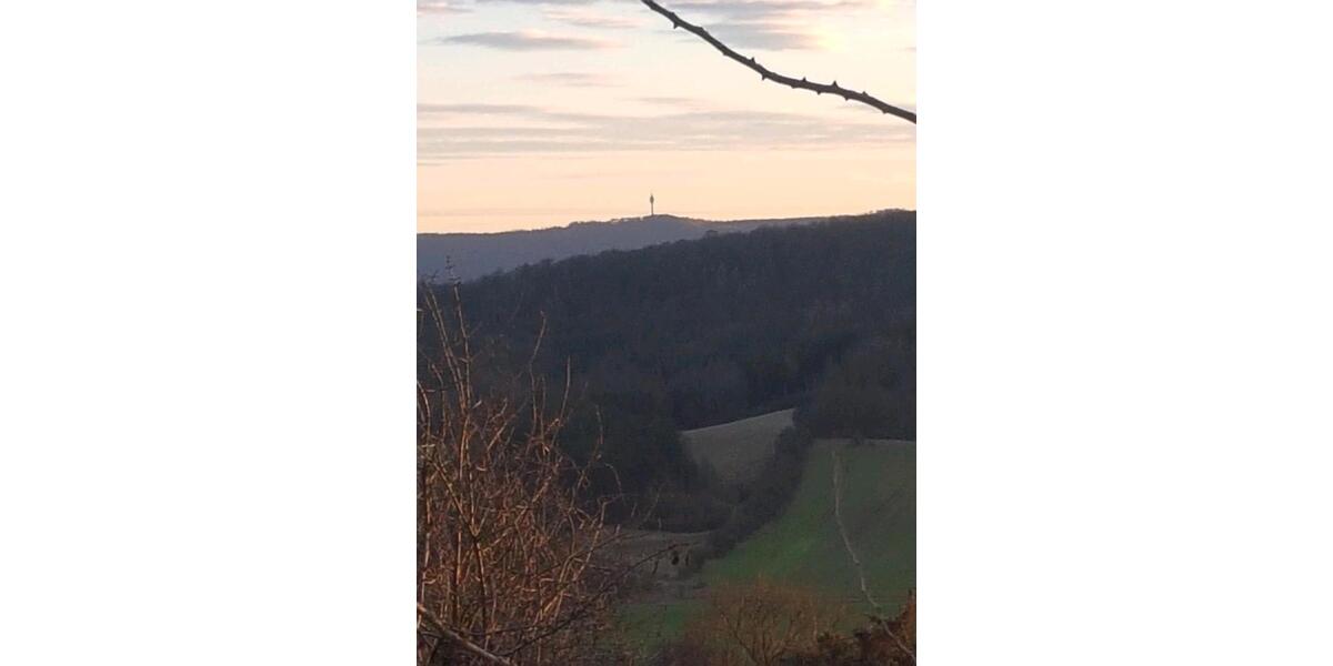 Terrassenwohnung Laucha an der Unstrut - 1 Zimmer, 56 m&sup2;, 35.000&euro; | Angebot:26020746