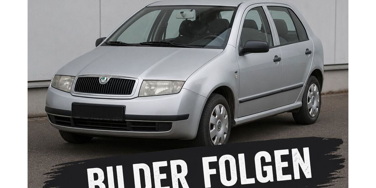 Skoda Fabia 166.000 km 1.499 &euro; Reutlingen 72762