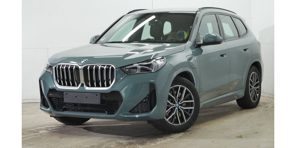 BMW X1 12.800 km 52.750 &euro; Altenmarkt a.d. Alz 83352