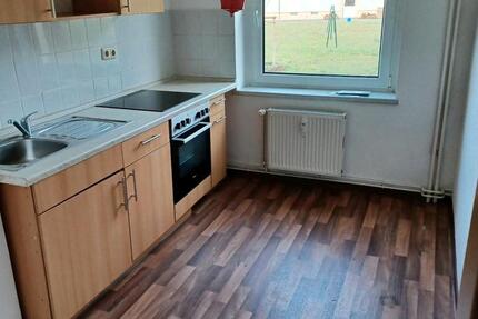 Wohnung EG 40qm in 01619 Zeithain ab 1.1.2026 1 zimmer