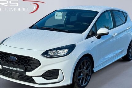 Ford Fiesta 99.800 km 12.980 &euro; Kropp 24848