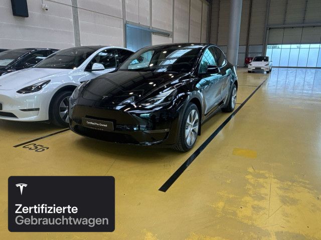 Model Y