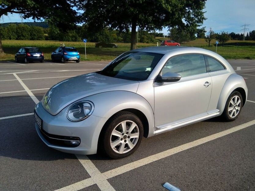 Beetle