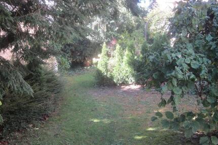 Top Erdgeschosswohnung in Bestlage 3.5 zimmer