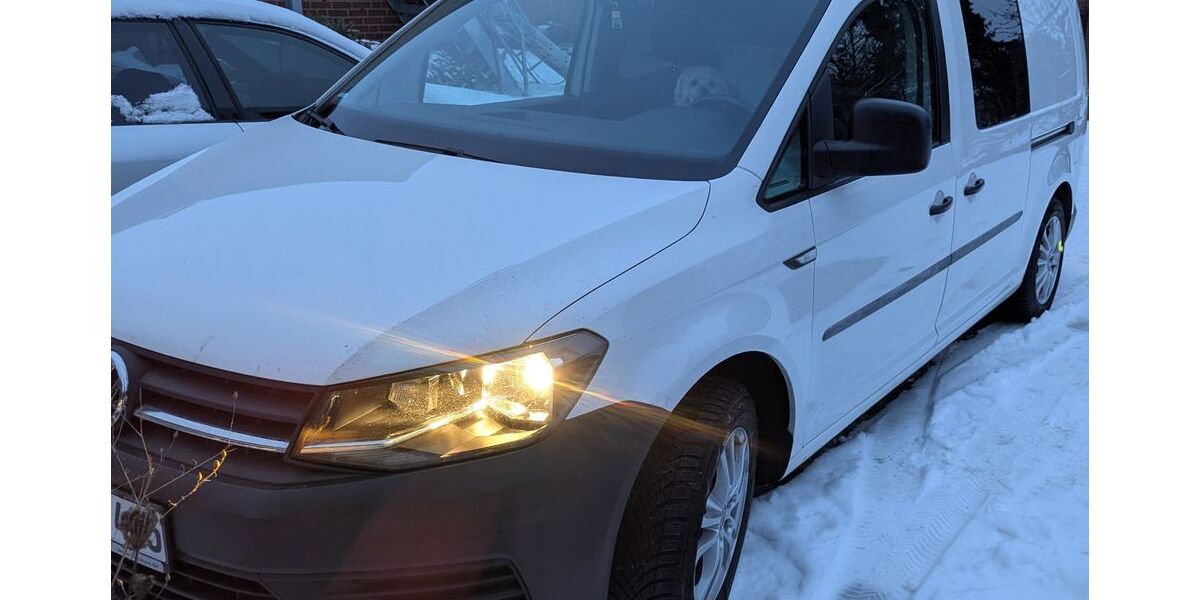 VW Caddy Maxi 149.000 km 13.999 &euro; Lüneburg 21335