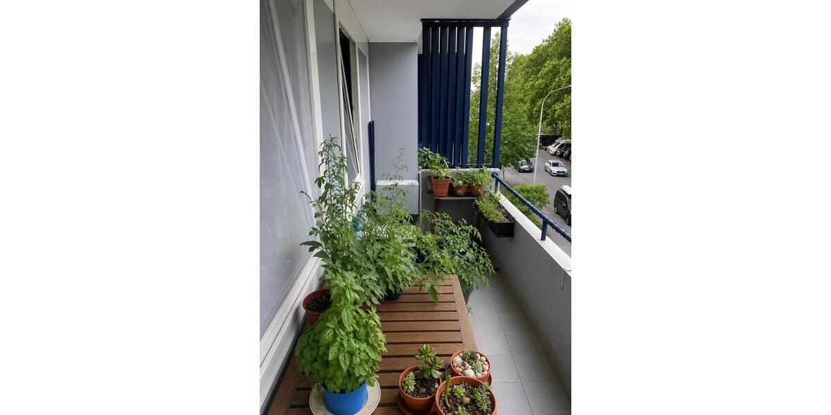 Etagenwohnung Freiburg im Breisgau Betzenhausen - 1 Zimmer, 37 m&sup2;, 199.950&euro; | Angebot:27118143