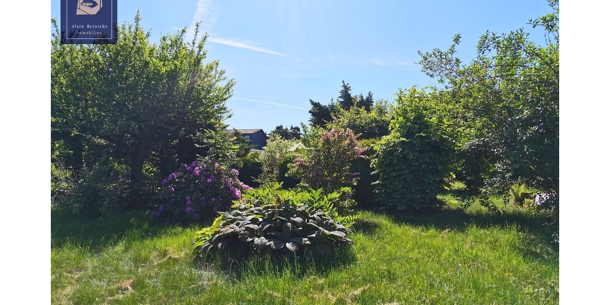 frisch renovierte DHH - Juwel in hervorragender Lage 4 zimmer