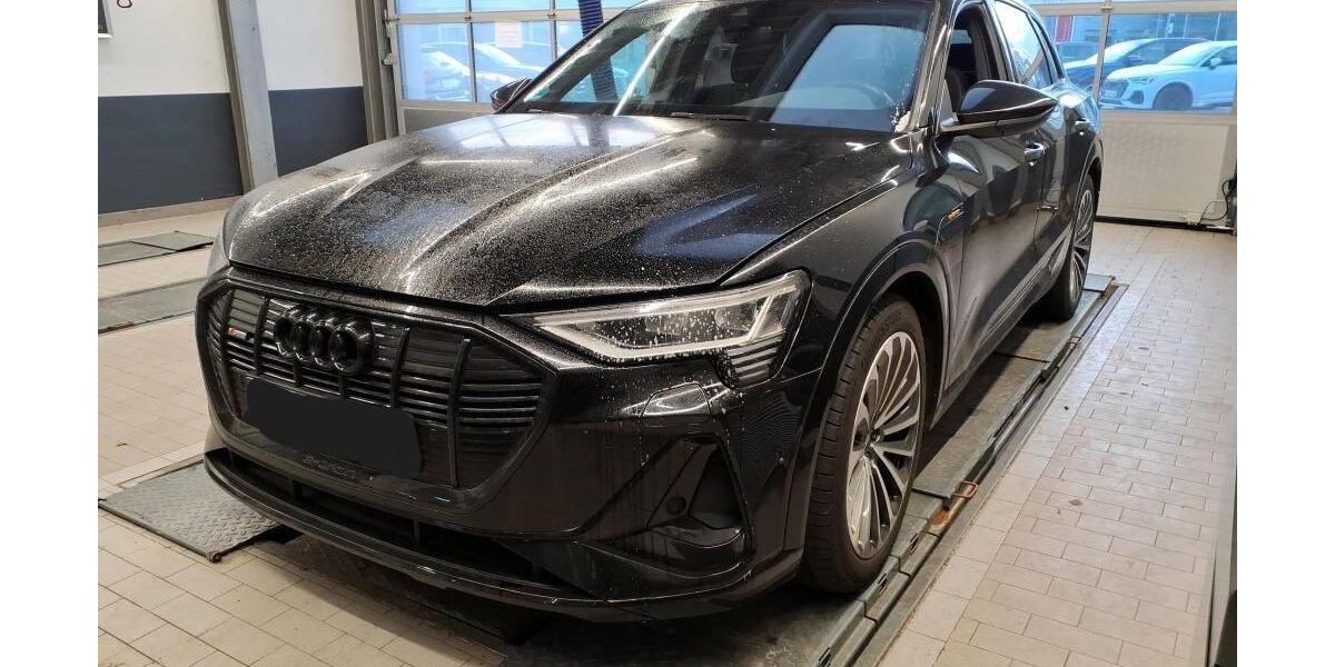 Audi e-tron 19.282 km 32.769 &euro; Hagen 58091