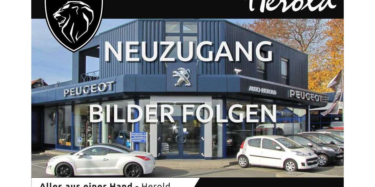 Peugeot Traveller 124.750 km 23.900 &euro; Lauf 91207