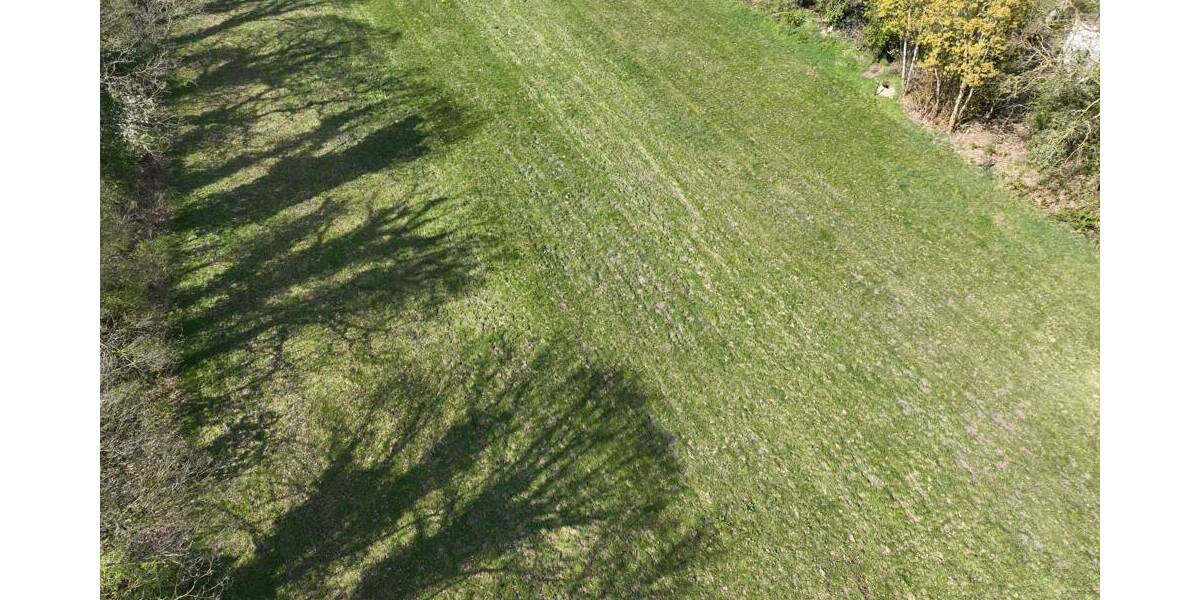 Mehrfamilienhaus, Wohnhaus Rastede Bekhausen - 4 Zimmer, 140 m&sup2;, 295.000&euro; | Angebot:26189574