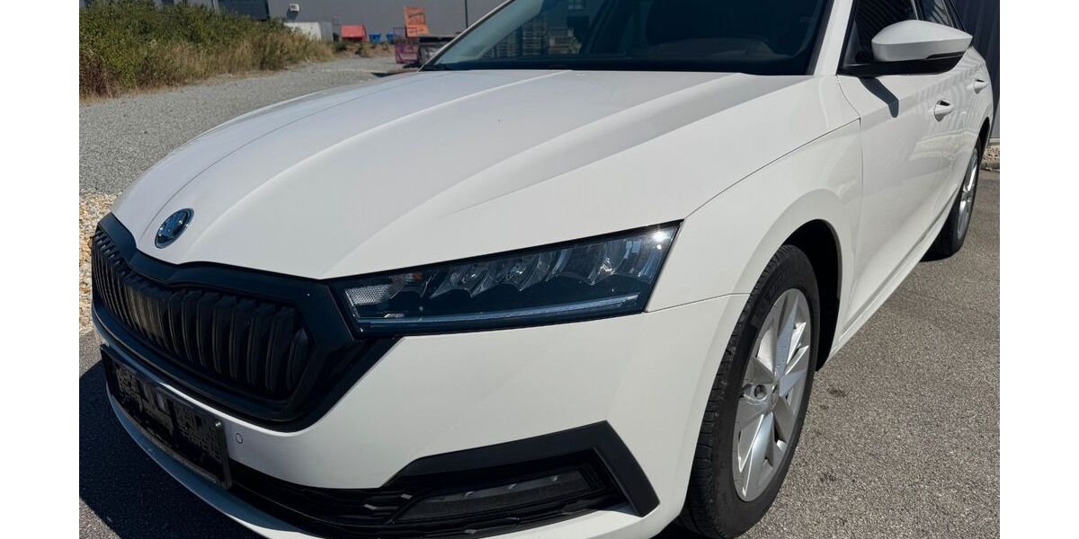 Skoda Octavia 145.000 km 22.000 &euro; Gerzen 84175