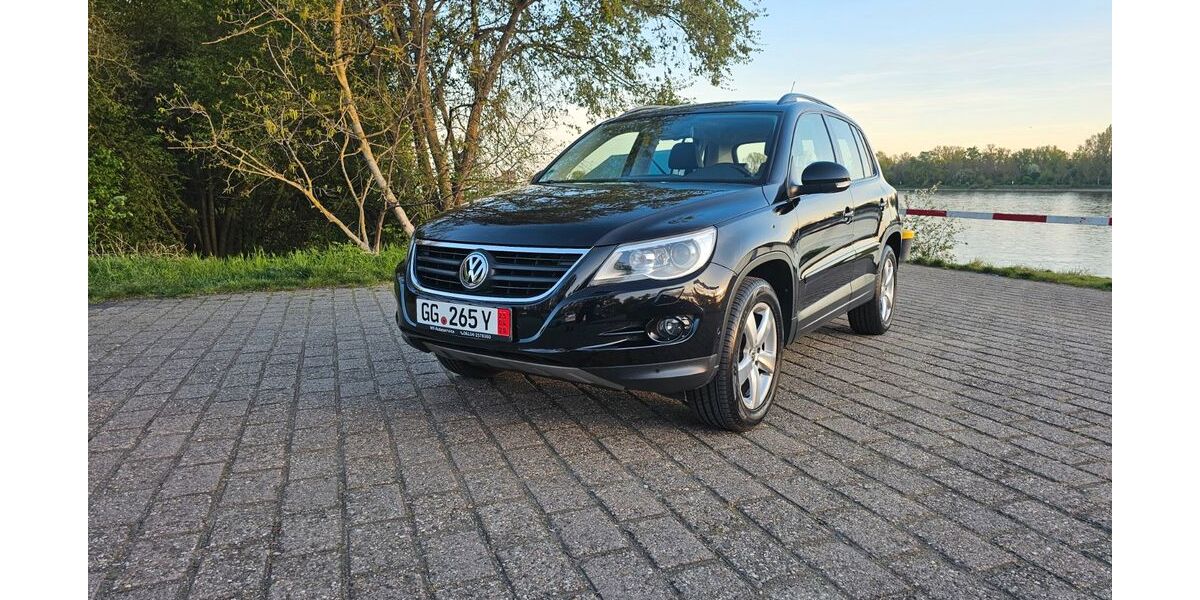 VW Tiguan 140.897 km 7.950 &euro; Ginsheim-Gustavsburg 65462