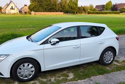 Seat Leon 146.000 km 6.900 € Enger 32130