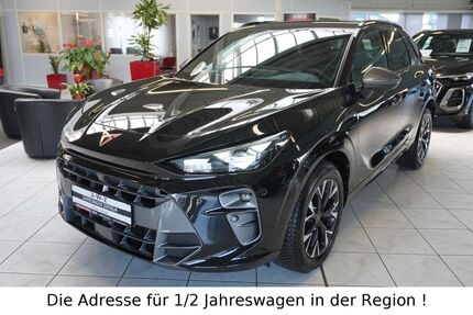 Cupra Terramar 1.800 km 36.790 &euro; Zimmern ob Rottweil 78658