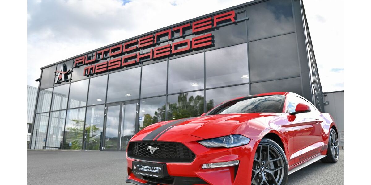 Ford Mustang 14.678 km 37.890 &euro; Meschede/NRW 59872