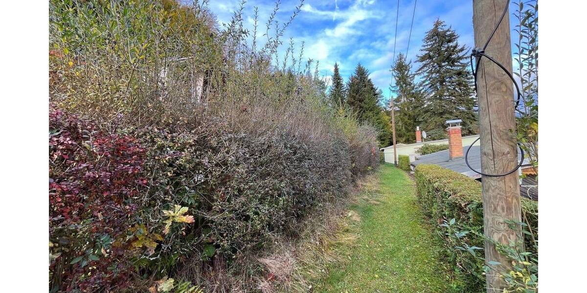 Grundstück Lippersdorf-Erdmannsdorf Lippersdorf - 8.000&euro; | Angebot:23967823