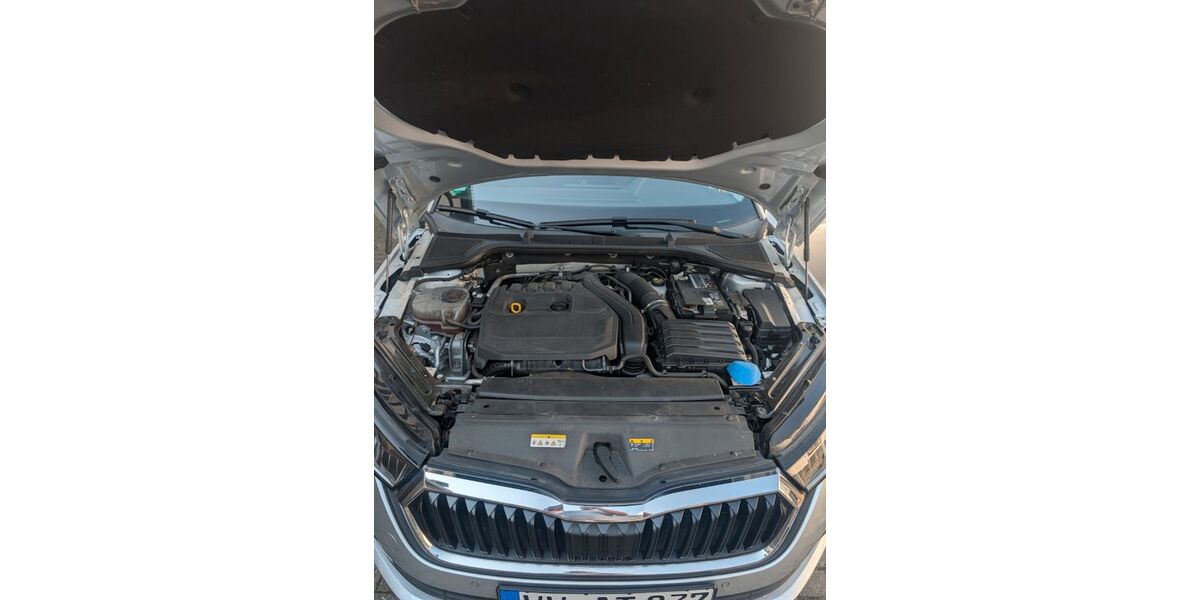 Skoda Octavia 85.784 km 17.000 &euro; Höhr-Grenzhausen 56203