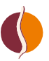 Physiotherapeut:in (m/w/d) - ein moderner Arbeitgeber und ein freundliches Team warten auf Dich! WirbelsäulenCentrum Wittenberg Lutherstadt Wittenberg 06886