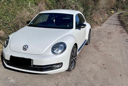 VW Beetle