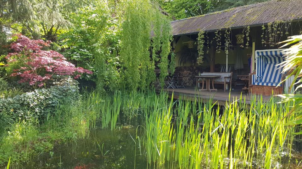 Außergewöhnliches Anwesen im Herzen Uslars mit parkähnlichem Gart zimmer