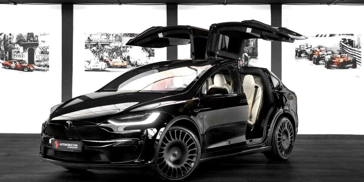 Tesla Model X 65.000 km 77.900 &euro; Wiesbaden 65197