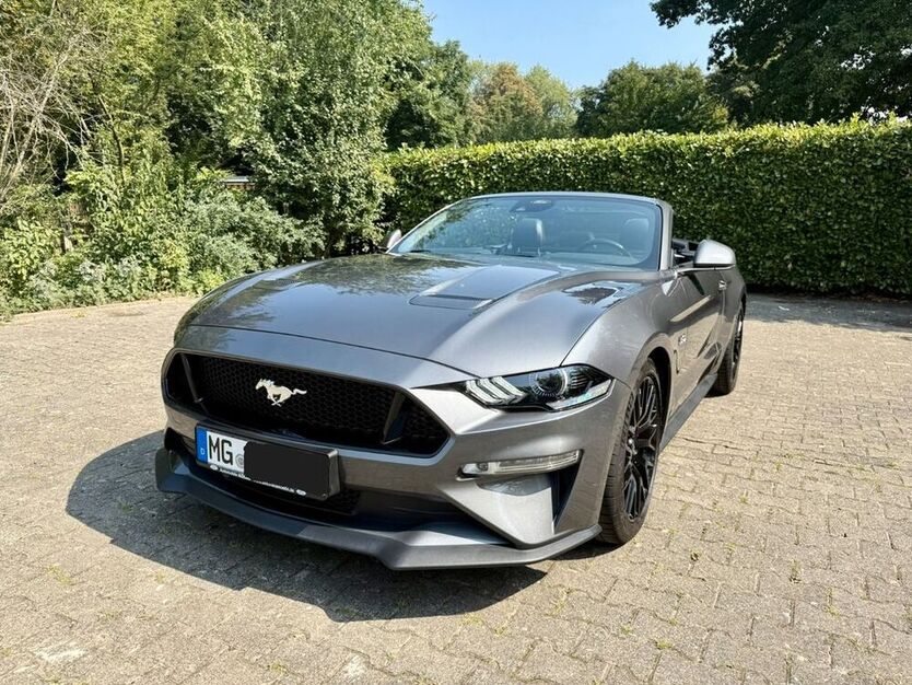 Mustang