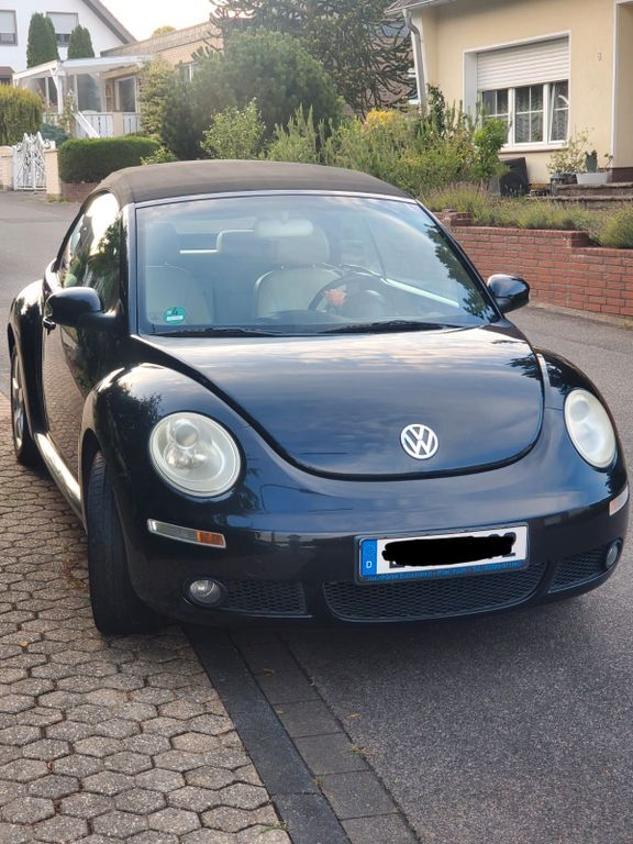 Beetle