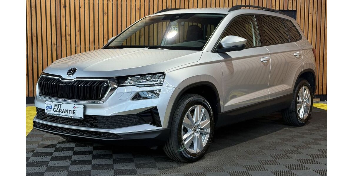Skoda Karoq 32.485 km 27.900 &euro; Leer 26789