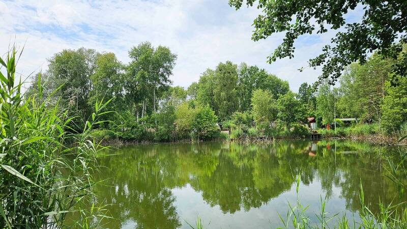 Bungalow Eberswalde Finow - 1 Zimmer, 28 m&sup2;, 98.000&euro; | Angebot:25970686