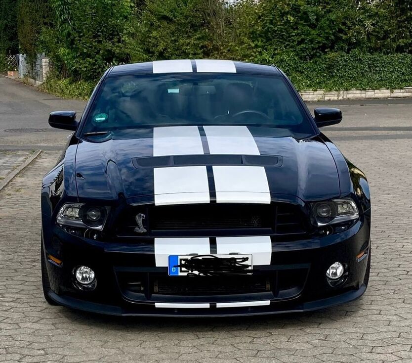 Mustang