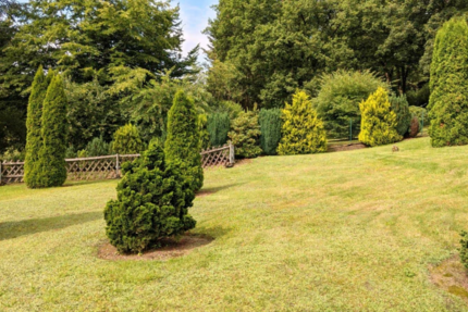 Grundstück zu verkaufen in Gummersbach 99.900 € 590 m² zimmer