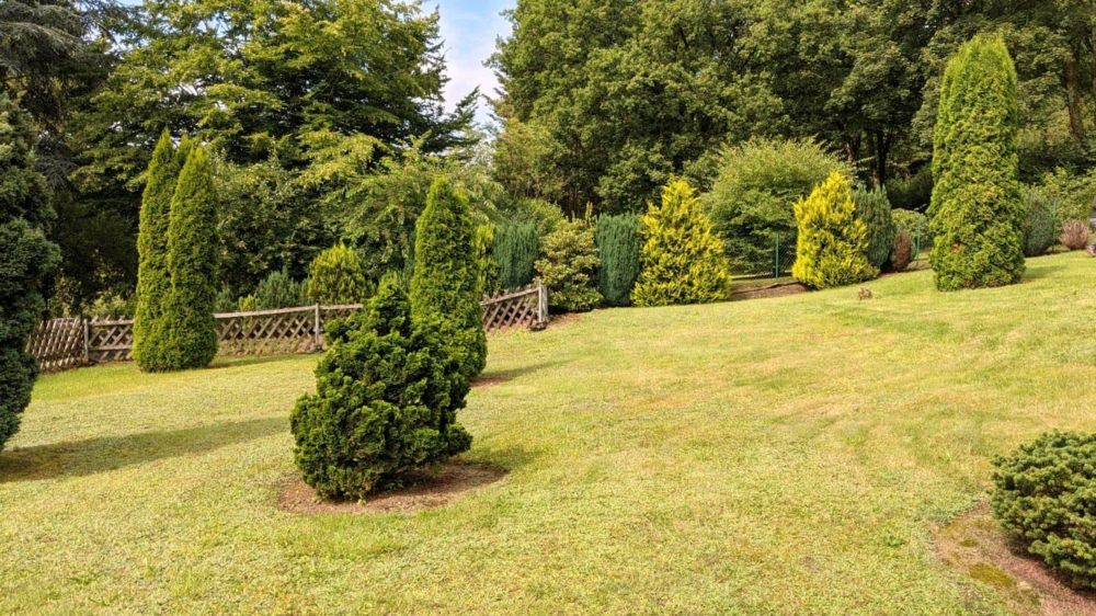 Grundstück zu verkaufen in Gummersbach 99.900 € 590 m² zimmer