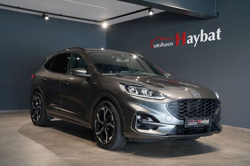Kuga