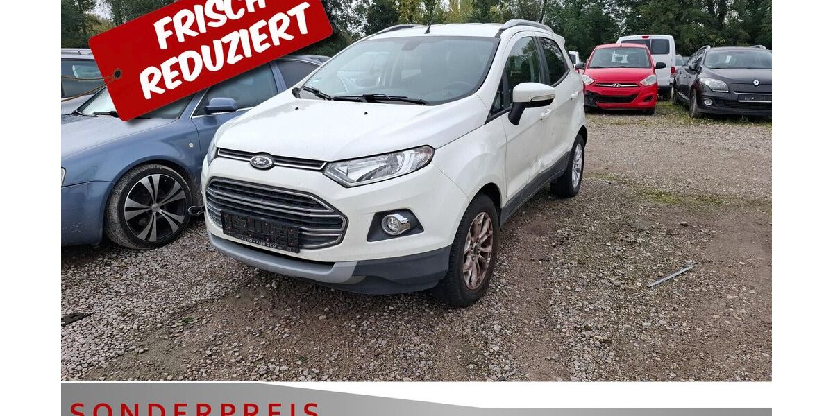 Ford EcoSport 131.175 km 2.485 &euro; Achern 77855