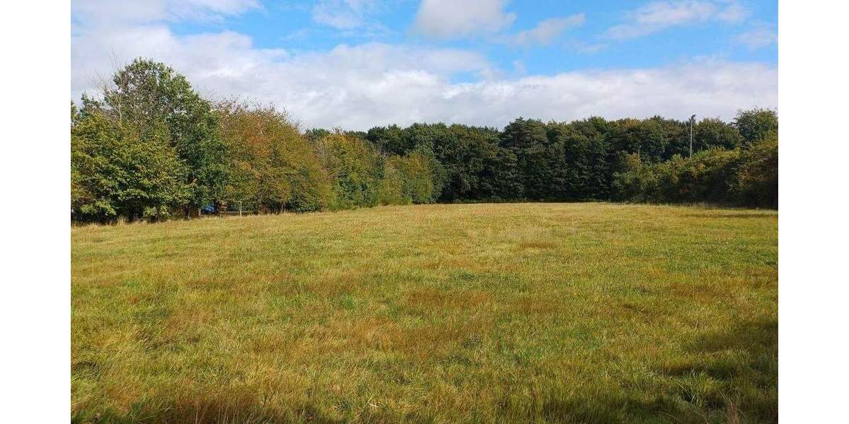 Grundstück Herforst - 63.500&euro; | Angebot:25739681