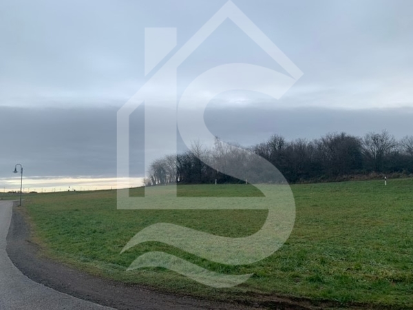 Hier könnte Ihr Traum vom Eigenheim wahr werden! Baugrundstück in Peterswald - Grundstück Peterswald-Löffelscheid Hunsrück | Angebot:16819097