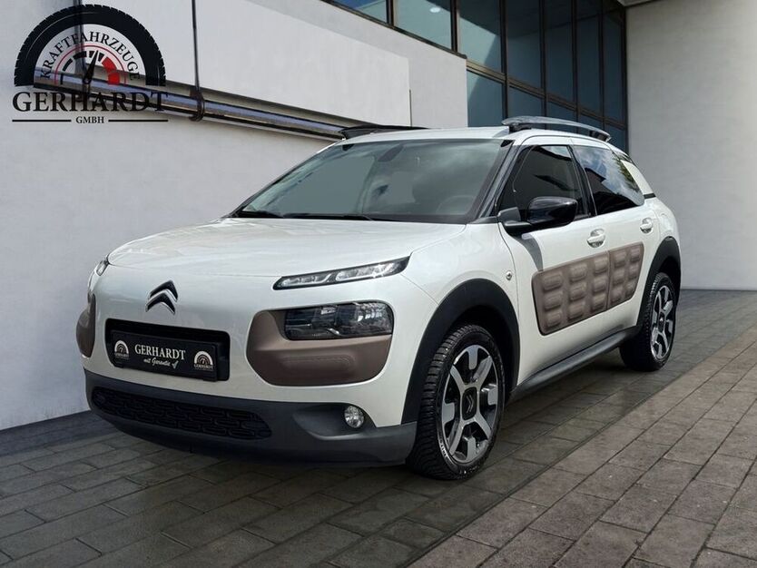 C4 Cactus