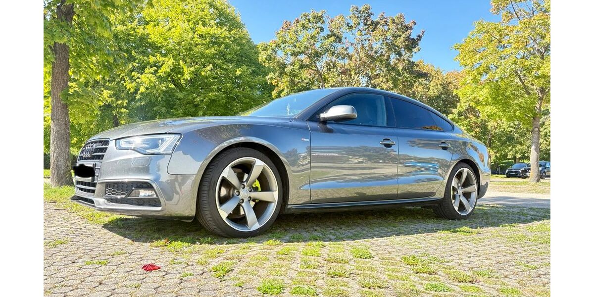 Audi A5 99.300 km 18.000 &euro; Senden 89250