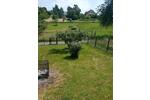 Einfamilienhaus Gusenburg - 6 Zimmer, 160 m&sup2;, 239.000&euro; | Angebot:26855832