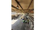 Gewerbeobjekt Nossen - 2.500&euro; | Angebot:26007462