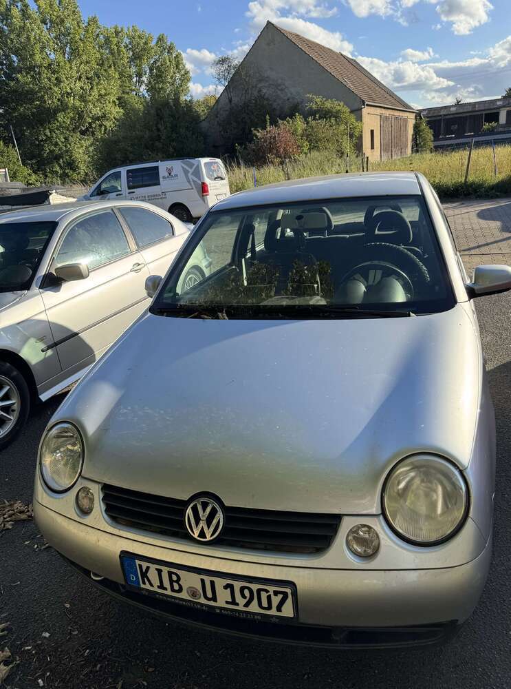 Lupo