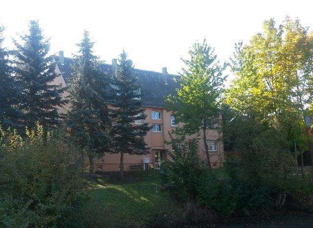 Etagenwohnung Zeulenroda-Triebes Triebes - 2 Zimmer, 51 m&sup2;, 235&euro; | Angebot:26534703