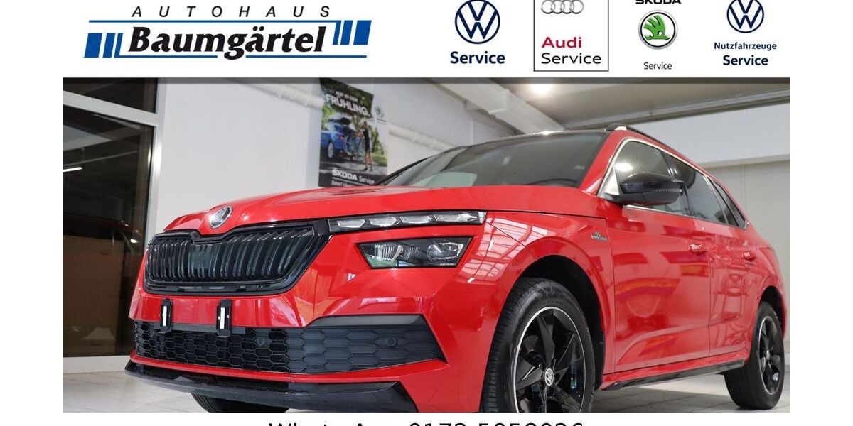 Skoda Kamiq 49.517 km 18.999 &euro; Schönheide 08304